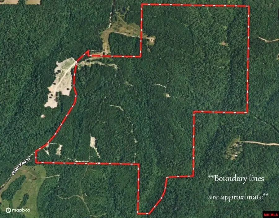 001-05451-000 TOMAHAWK SLAB ROAD, Saint Joe, AR 72675 - #3