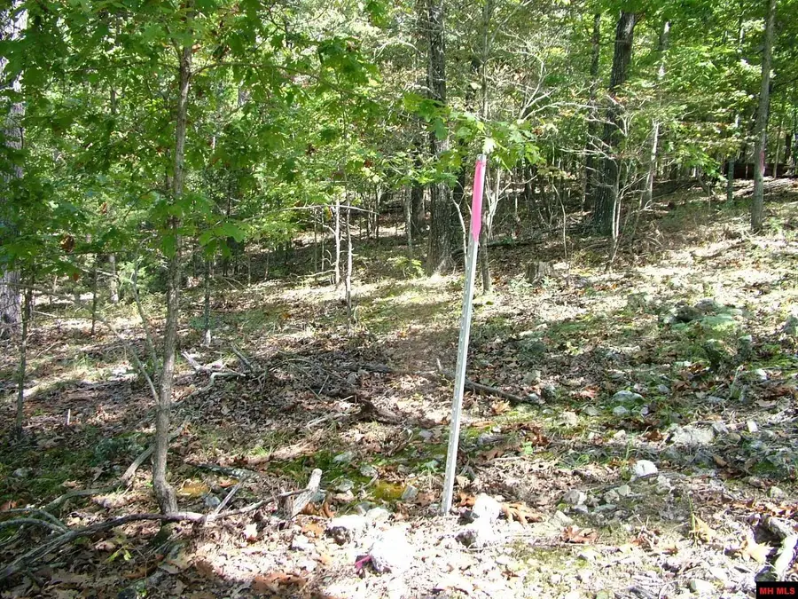 Tracts A,B,C,D ROCKY RIDGE ROAD, Mountain Home, AR 72653 - #3