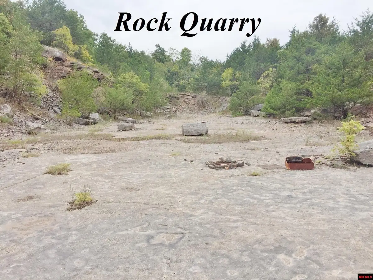 1132 LIGHTHOUSE LANE, Yellville, AR 72687 - #1