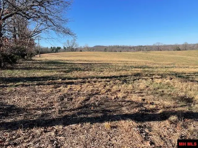 001-07136-002 N TOMAHAWK CHURCH ROAD, Saint Joe, AR 72675 - #2