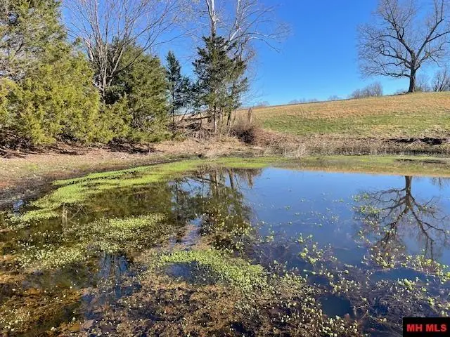 001-07136-002 REEDVILLE ROAD, Saint Joe, AR 72675 - #1