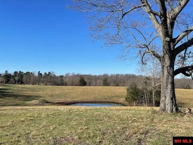 001-07136-002 REEDVILLE ROAD, Saint Joe, AR 72675 - #2