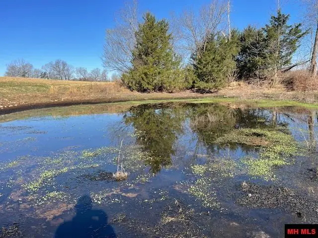 001-07136-002 REEDVILLE ROAD, Saint Joe, AR 72675 - #3