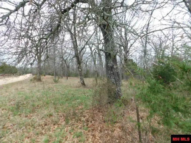 001-06205-001 CR 784, Mountain Home, AR 72653 - #2