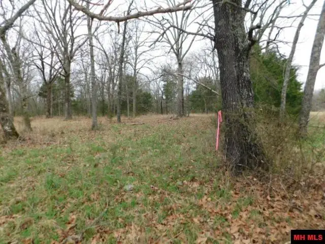 001-06205-001 CR 784, Mountain Home, AR 72653 - #3