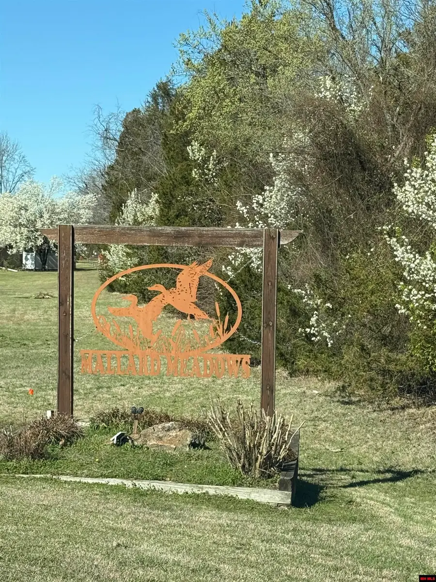 Lot 10 CANVASBACK COURT, Mountain Home, AR 72653 - #2