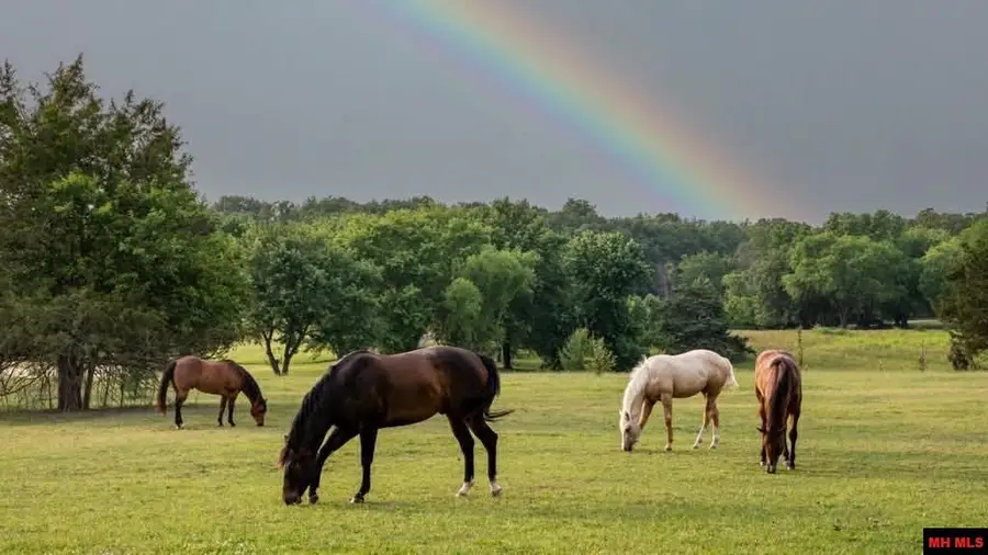 Lot 11 CANVASBACK COURT, Mountain Home, AR 72653 - #3