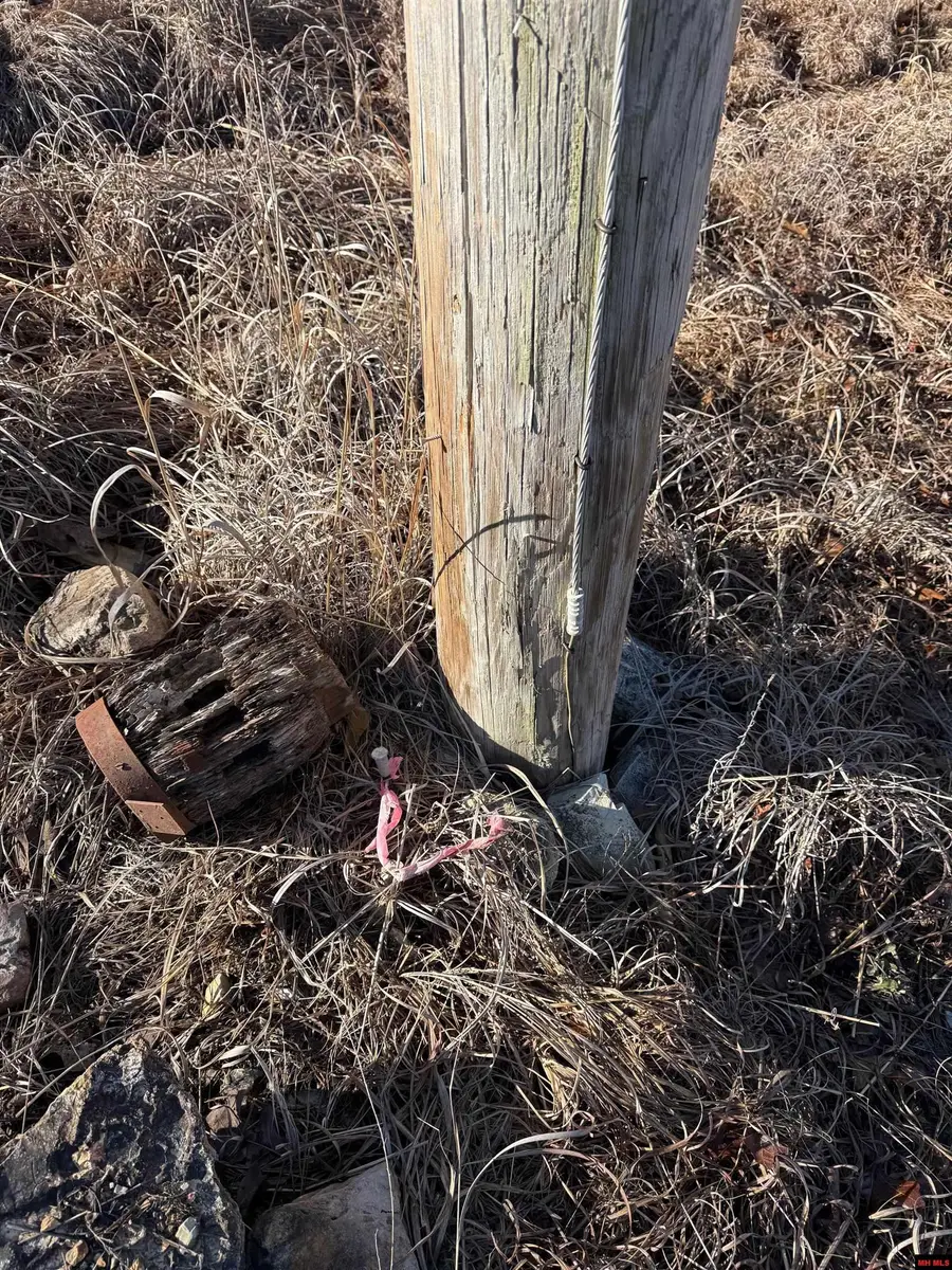 Lot 6 CR 476, Clarkridge, AR 72623 - #2