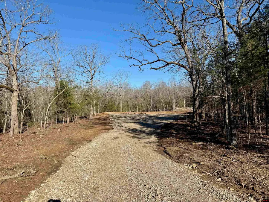 Lot 6 CR 476, Clarkridge, AR 72623 - #3
