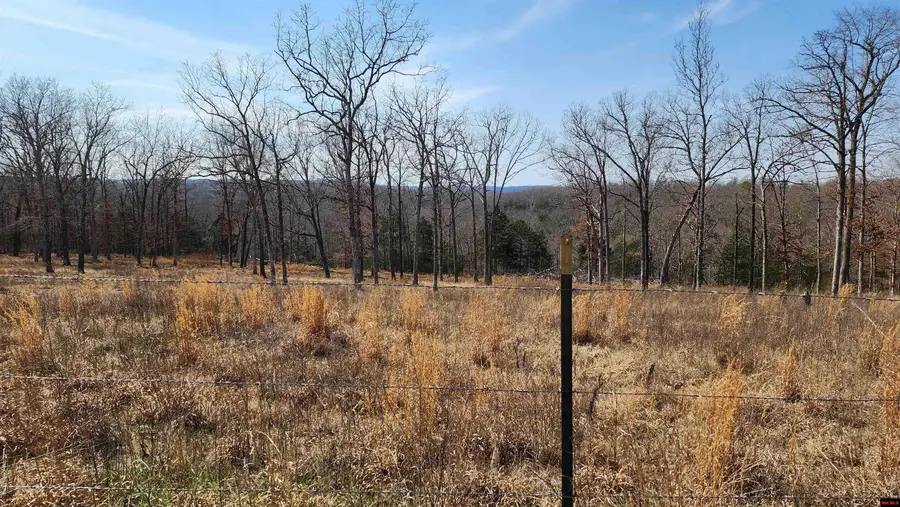 Tract A C S WOODS BOULEVARD, Bull Shoals, AR 72619 - #3