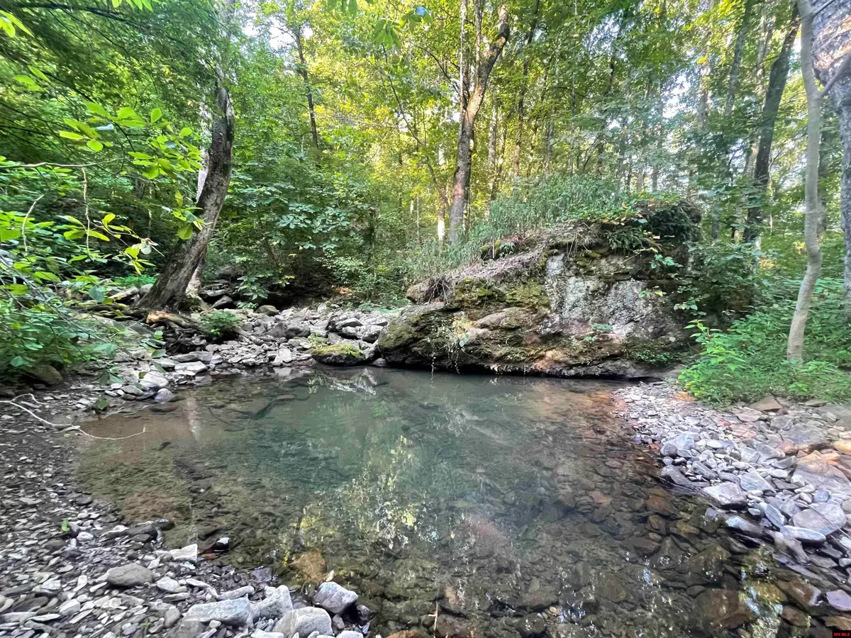 10189 HWY 377, Witts Springs, AR 72686 - #1