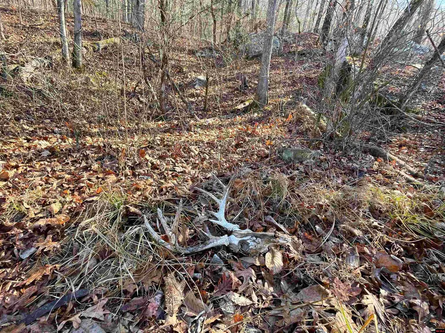 170-00001-000 RAIL ROAD, Clinton, AR 72031 - #3