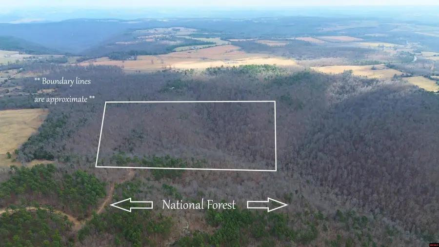 001-07753-000 LAND LOCK ROAD, Mount Pleasant, AR 72686 - #3