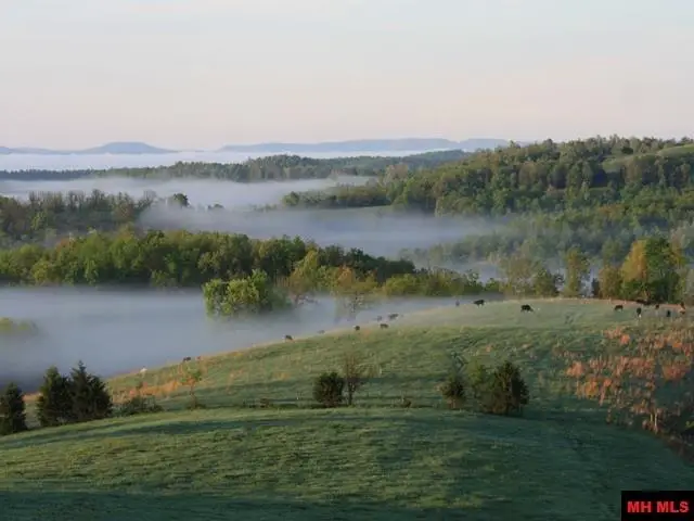 1182 MC 5012, Saint Joe, AR 72675 - #1