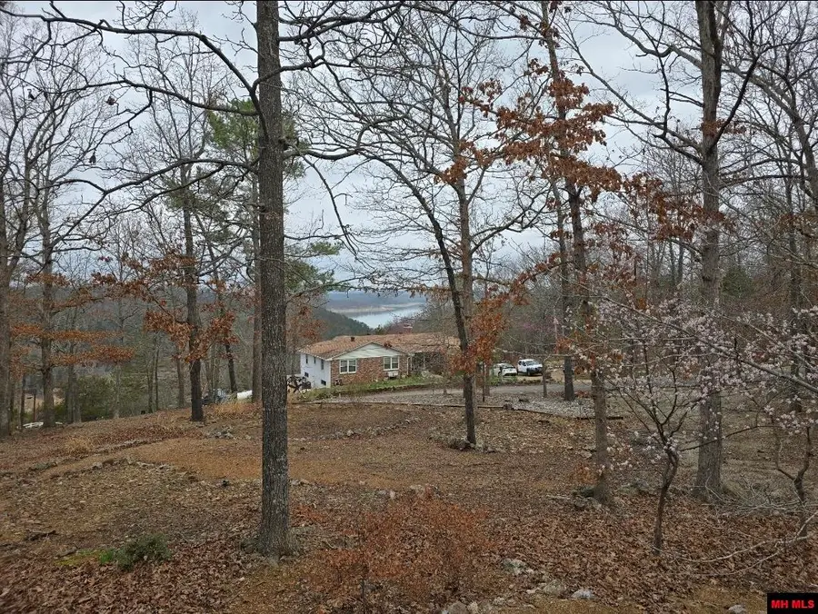 101 BAYVIEW DRIVE, Mountain Home, AR 72653 - #3