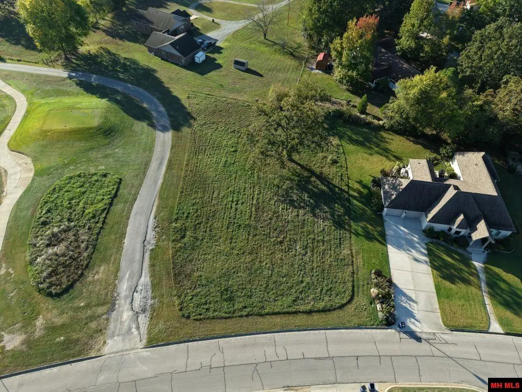 Lot 10 S SHEEKS DRIVE, Mountain Home, AR 72653 - #1