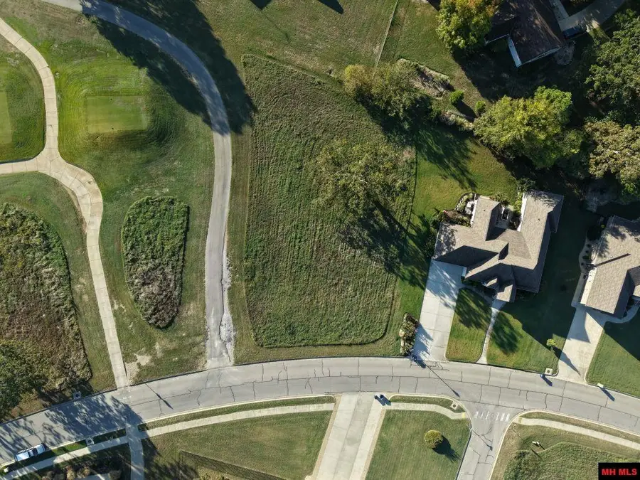 Lot 10 S SHEEKS DRIVE, Mountain Home, AR 72653 - #2