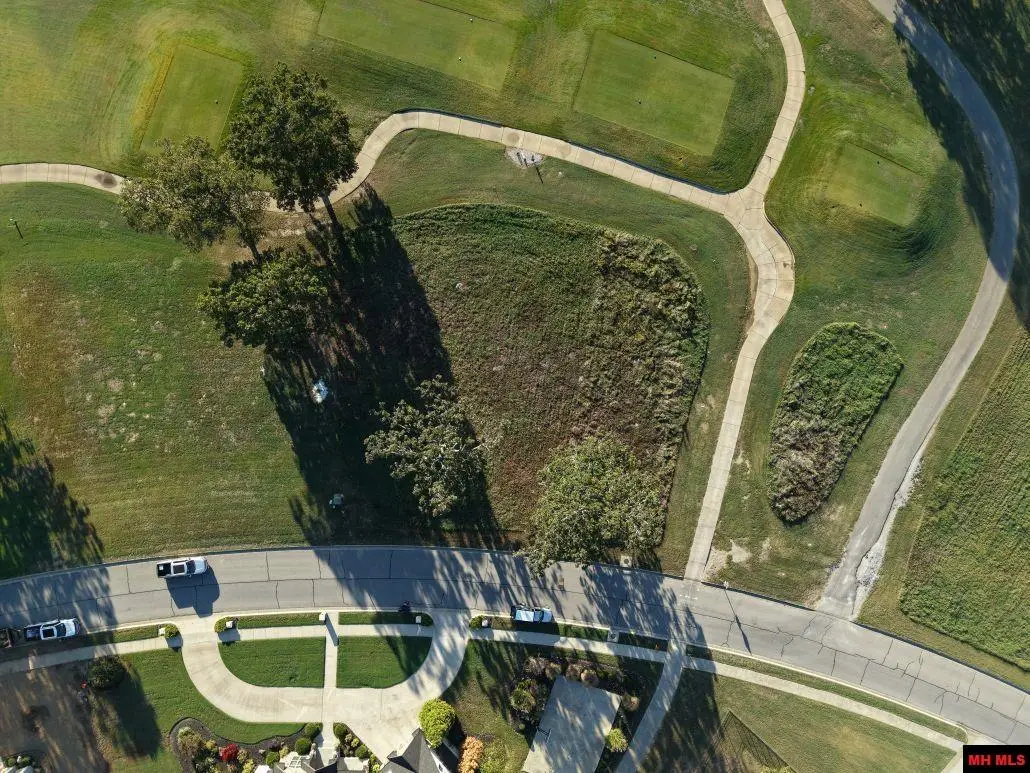 Lot 40 S SHEEKS DRIVE, Mountain Home, AR 72653 - #1