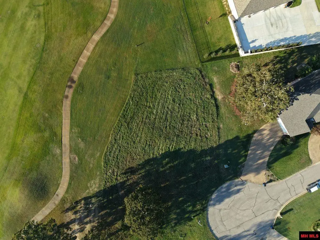 Lot 45 PINEHURST POINT, Mountain Home, AR 72653 - #1