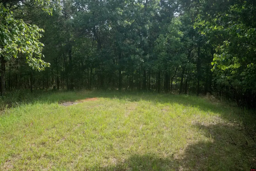 Lot 45 LAKESHORE ROAD, Protem, MO 65733 - #3