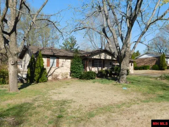 1408 CLAY STREET, Mountain Home, AR 72653 - #3