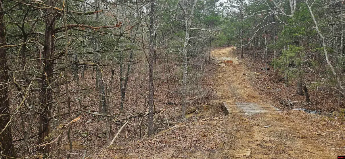 Lots 43 & 44 CR 146, Henderson, AR 72544 - #1