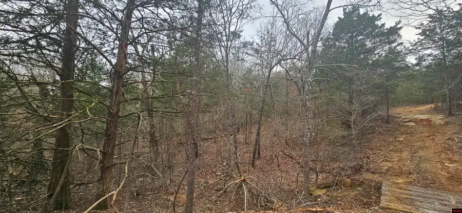 Lots 43 & 44 CR 146, Henderson, AR 72544 - #3