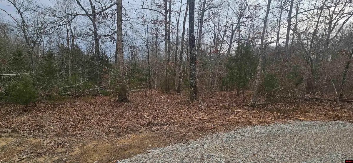 Lots 34-36 CR 146, Henderson, AR 72544 - #1