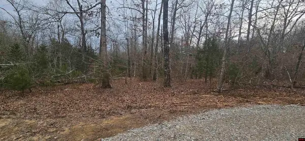 Lots 34-36 CR 146, Henderson, AR 72544