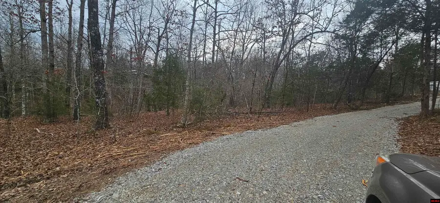 Lots 34-36 CR 146, Henderson, AR 72544 - #2