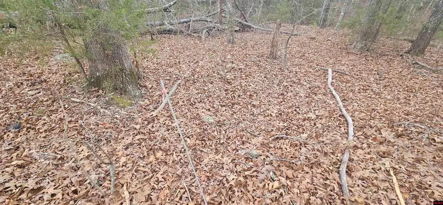 Lots 34-36 CR 146, Henderson, AR 72544 - #3