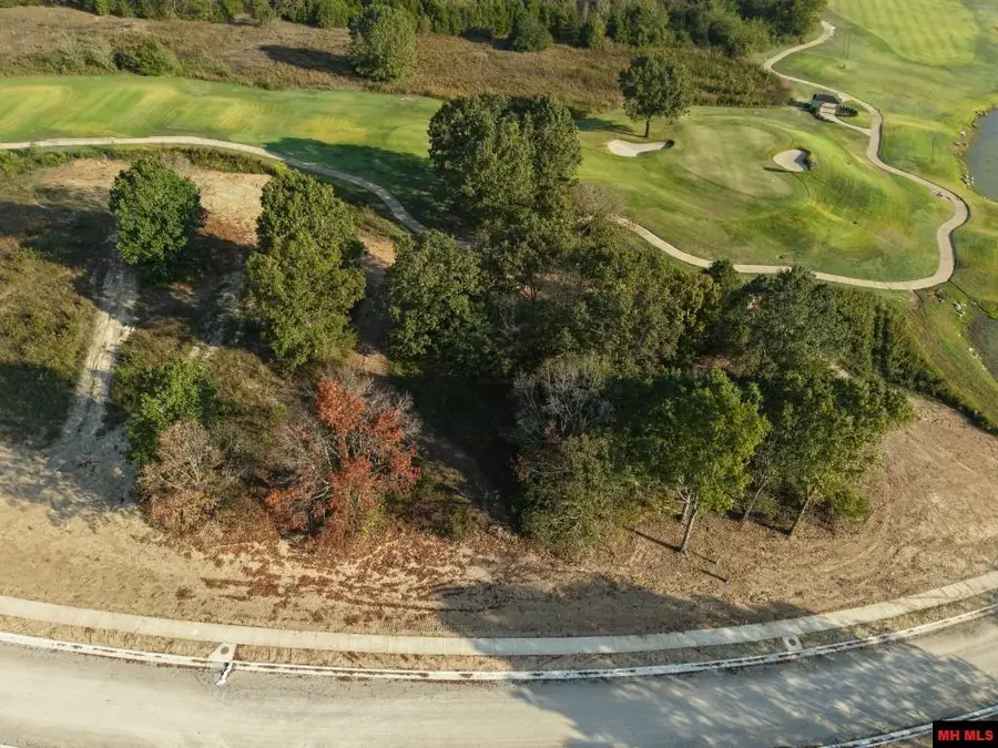 Lot 161 S SHEEKS DRIVE, Mountain Home, AR 72653 - #3