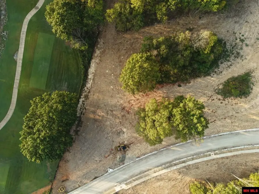 Lot 163 S SHEEKS DRIVE, Mountain Home, AR 72653 - #3