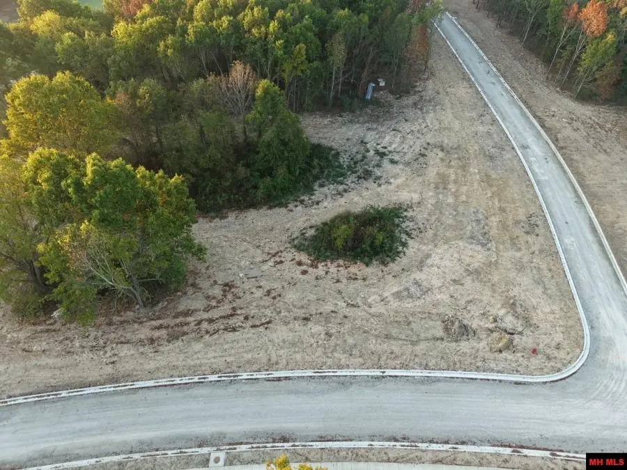 Lot 164 S SHEEKS DRIVE, Mountain Home, AR 72653 - #3