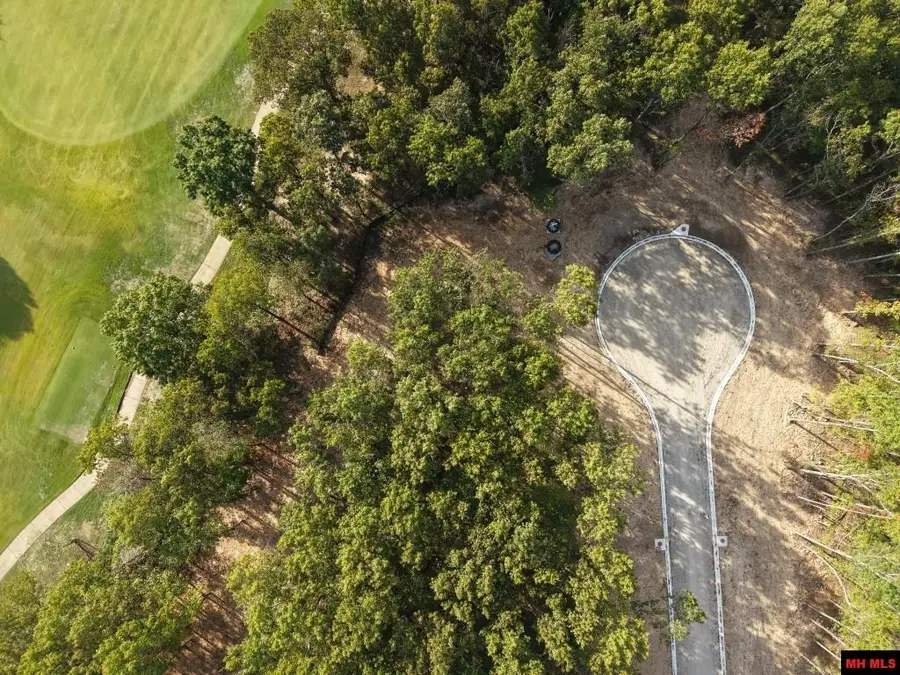 Lot 167 MUIRFIELD COURT, Mountain Home, AR 72653 - #3