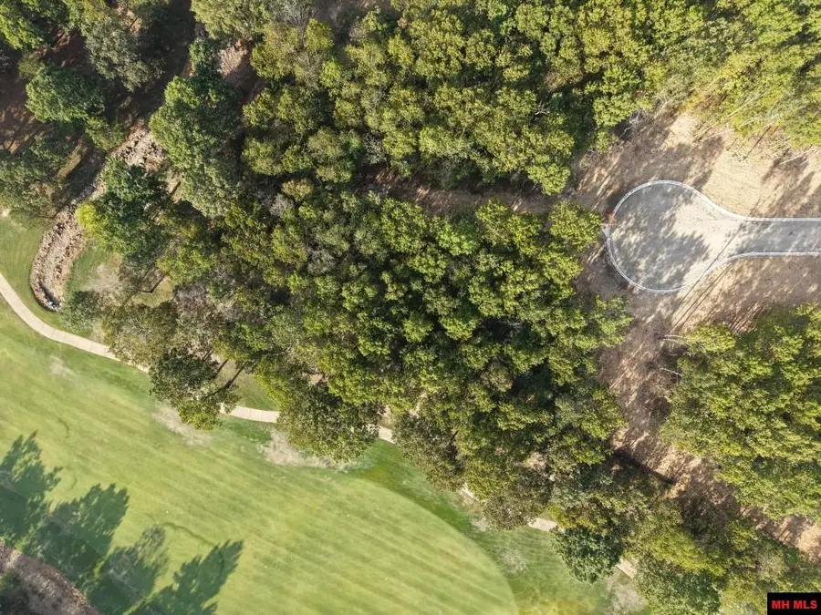 Lot 168 MUIRFIELD COURT, Mountain Home, AR 72653 - #3