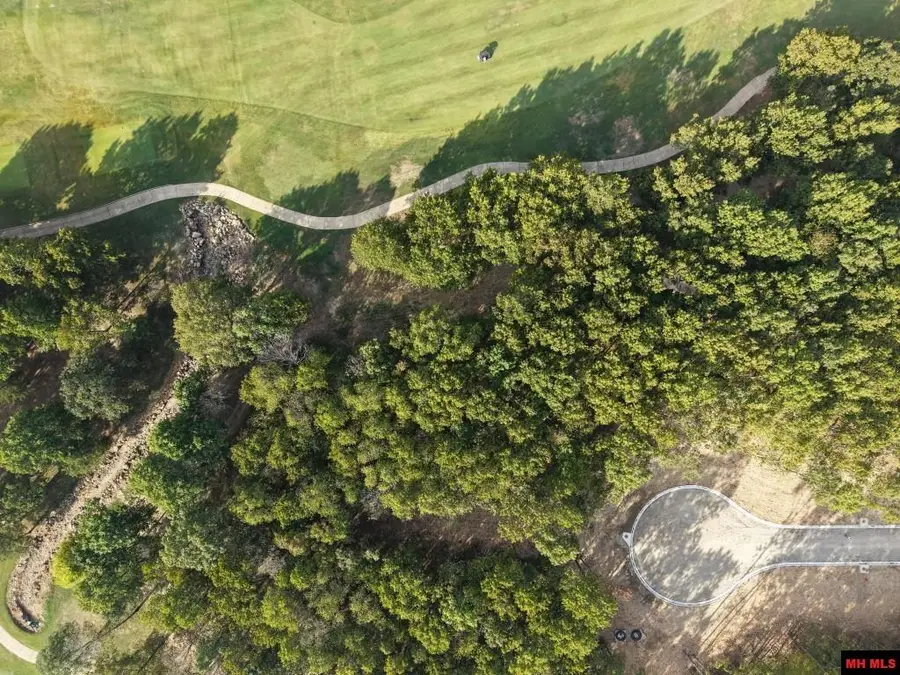 Lot 169 MUIRFIELD COURT, Mountain Home, AR 72653 - #3