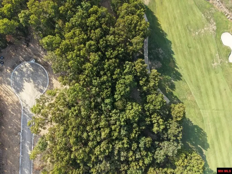 Lot 170 MUIRFIELD COURT, Mountain Home, AR 72653 - #3