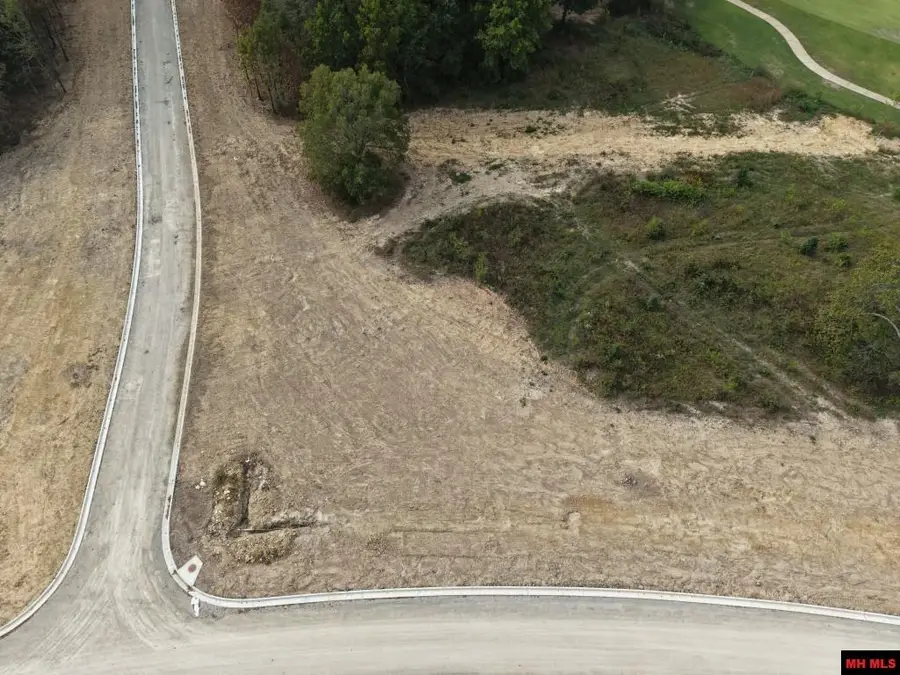 Lot 173 S SHEEKS DRIVE, Mountain Home, AR 72653 - #3