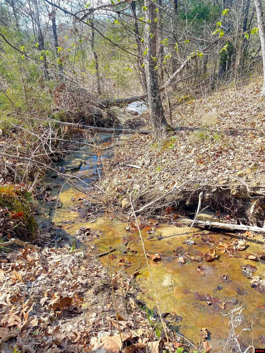 001-00209-000 TOWER LANE, Jordan, AR 72519 - #2