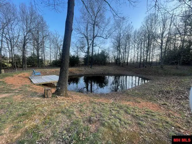 11486 HWY 235, Yellville, AR 72687 - #3