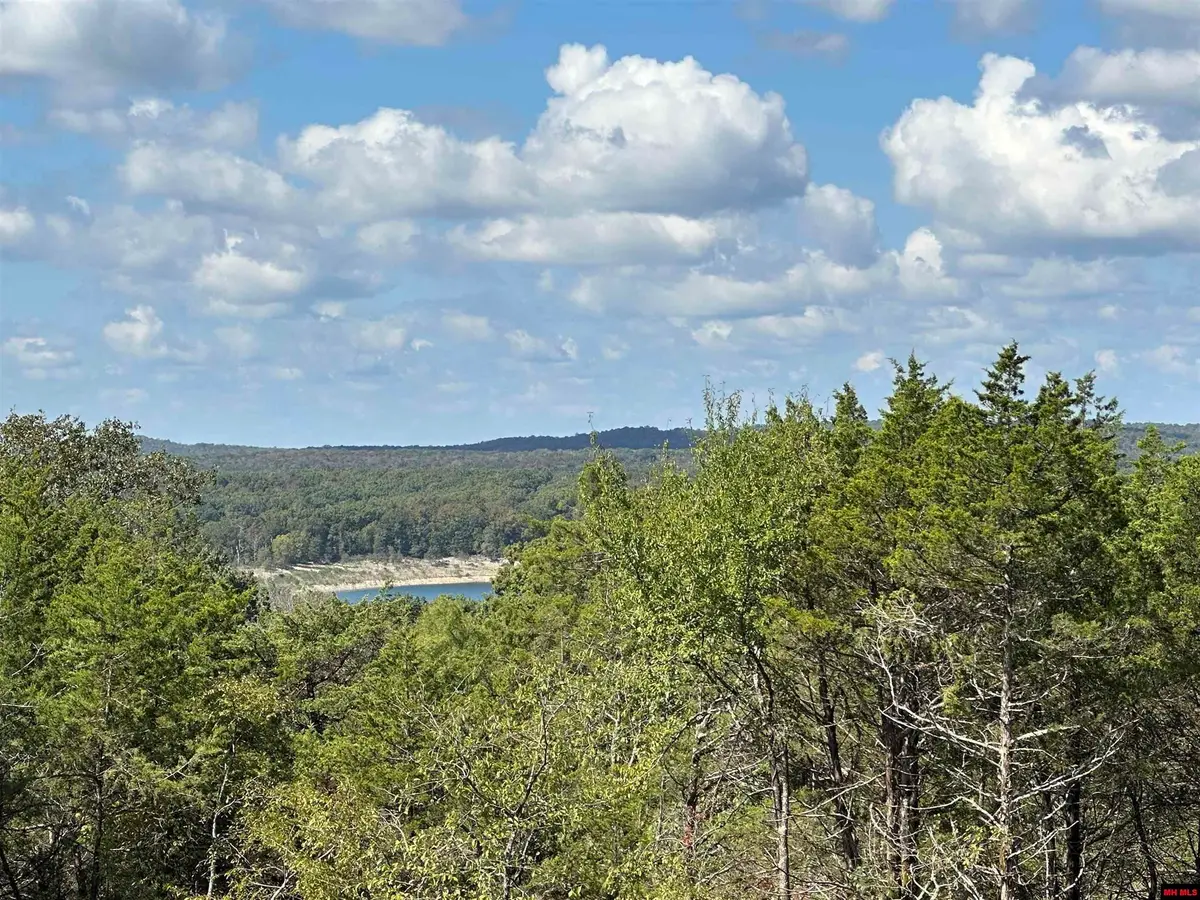 95 INFERNO LANE, Marion County, MO 72661 - #1