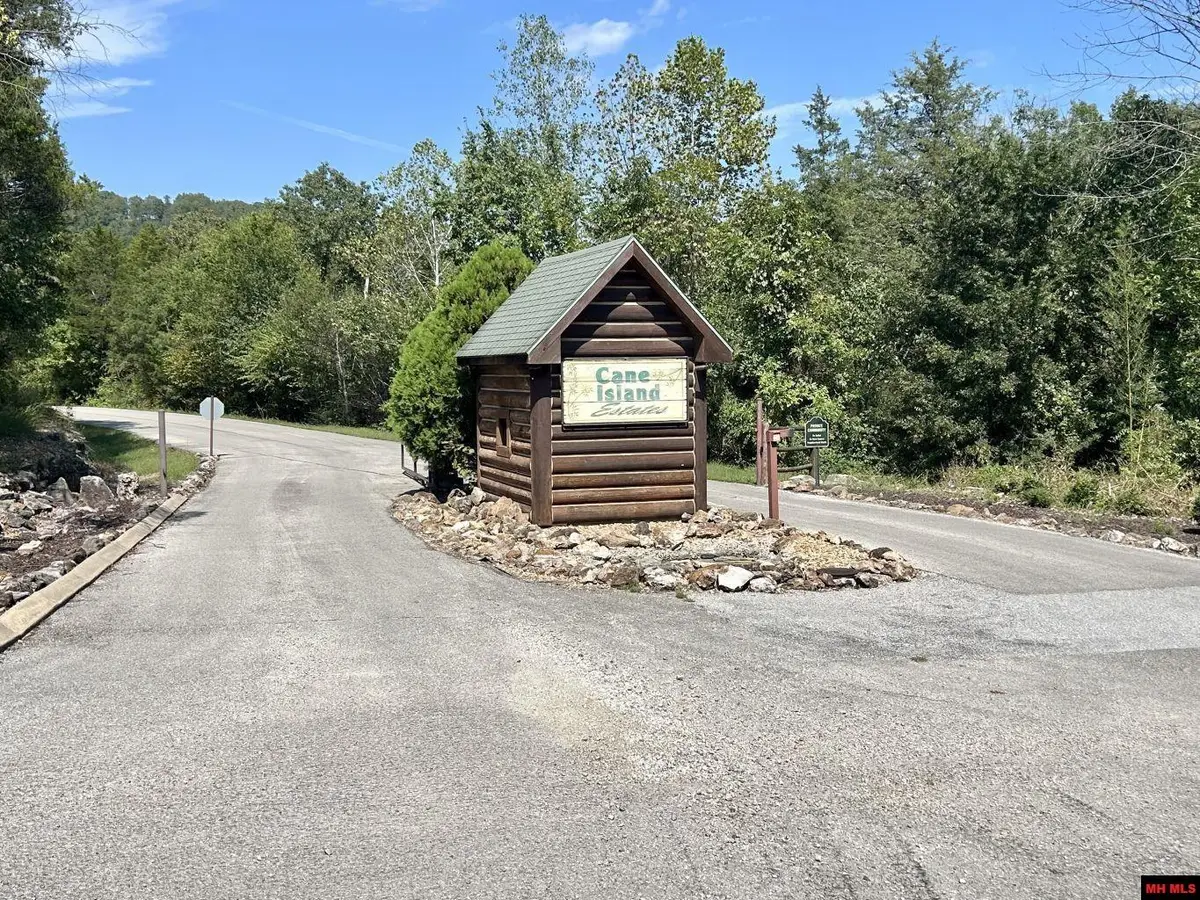 Lot 99 BROOK COURT, Flippin, AR 72634 - #1