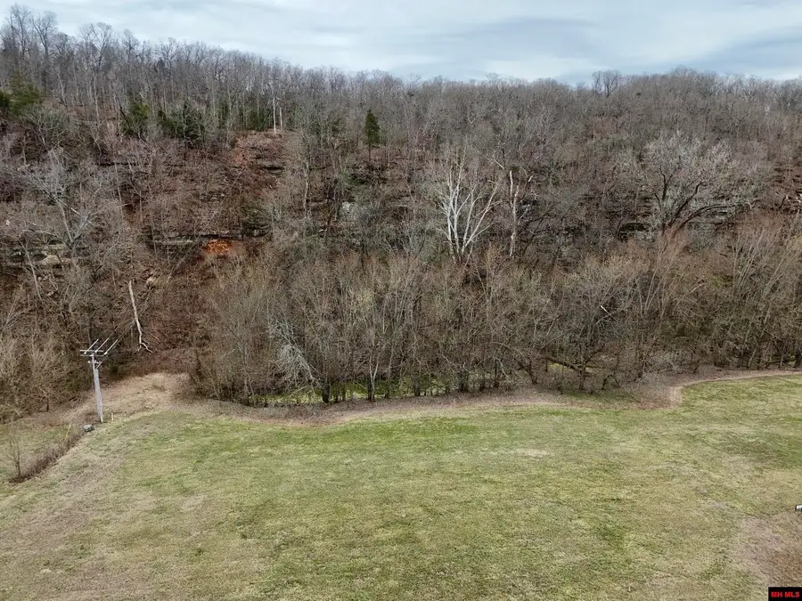 Lot 99 BROOK COURT, Flippin, AR 72634 - #3