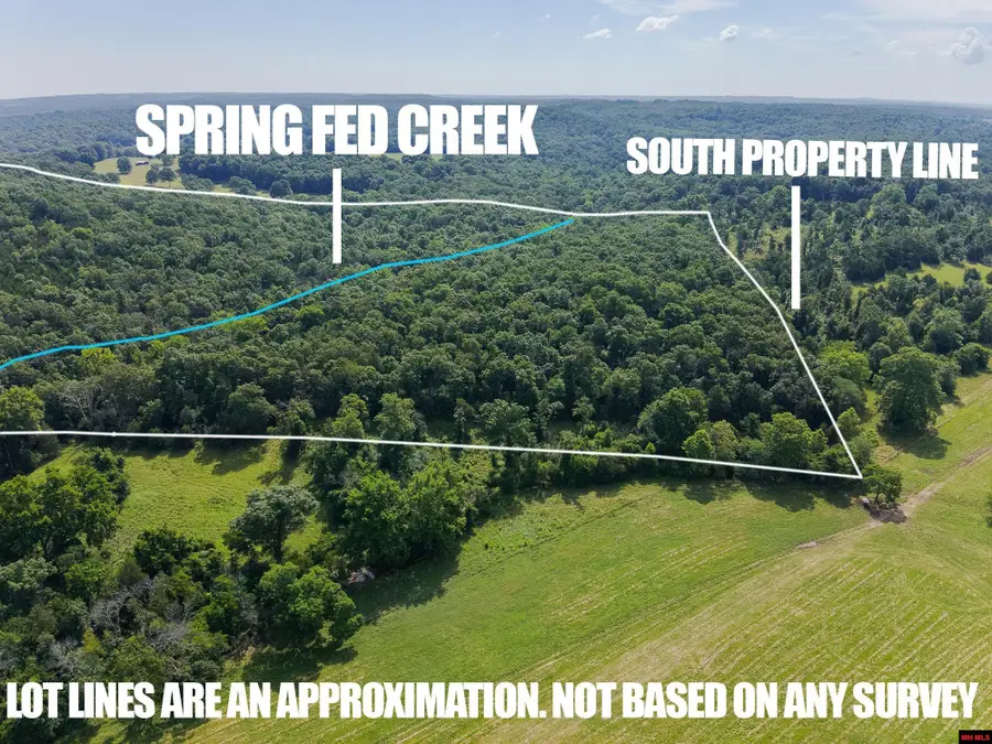 13-0.4-20-000-0 CR 544, Caulfield, MO 65626 - #2