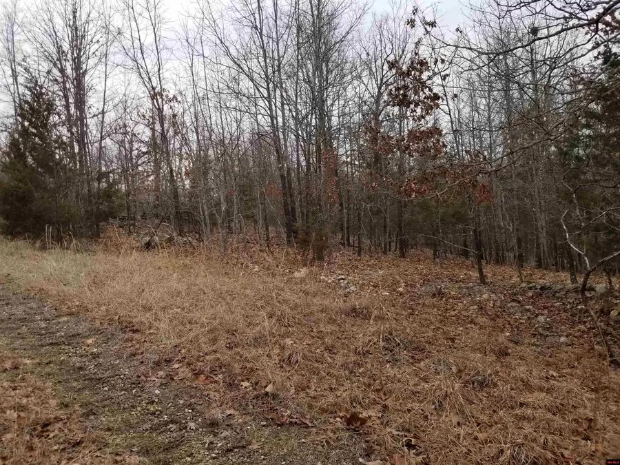 Lot 14 & 15 BUCKHEAD LANE, Mountain Home, AR 72653 - #3
