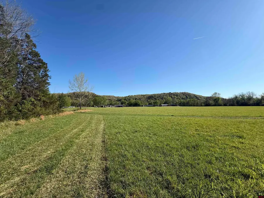 002-10395-000 DENTON FERRY ROAD, Cotter, AR 72626 - #2