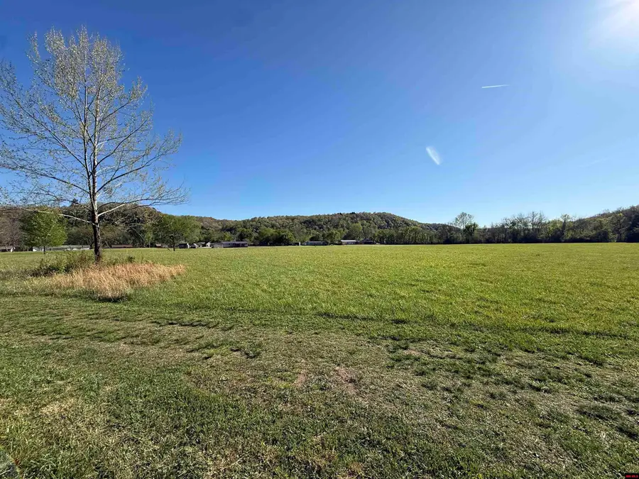 002-10395-000 DENTON FERRY ROAD, Cotter, AR 72626 - #3