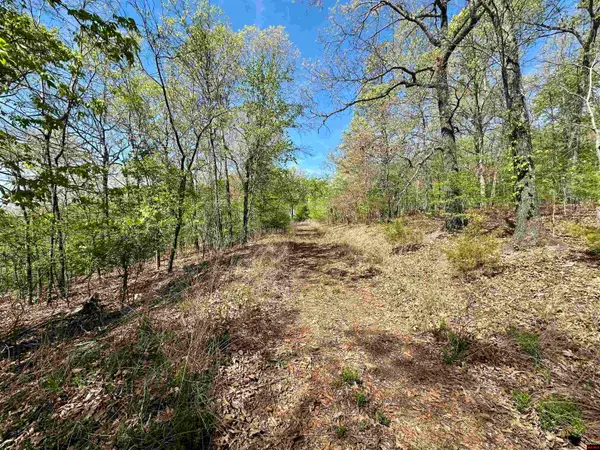LOTS 6 & 7 HOMESTEAD LANE, Cotter, AR 72626