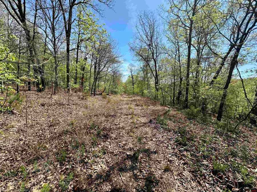 LOTS 6 & 7 HOMESTEAD LANE, Cotter, AR 72626 - #2